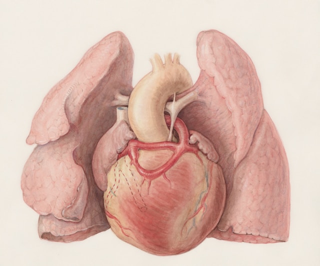 santé pulmonaire